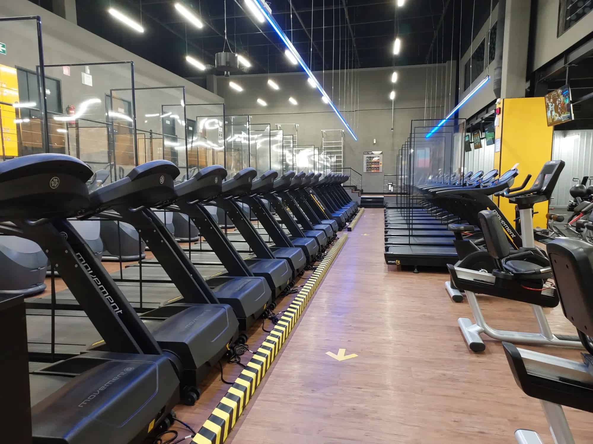 Rows of treadmills and cardio machines inside a gym